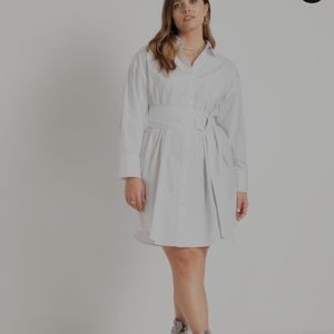 Plus Size Shirtdress